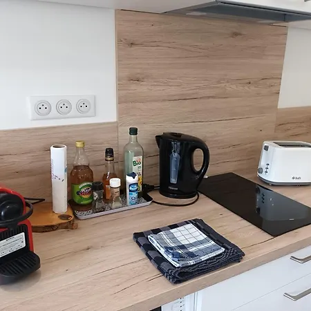 Apartment T2 Avec Balcon A Gazost *